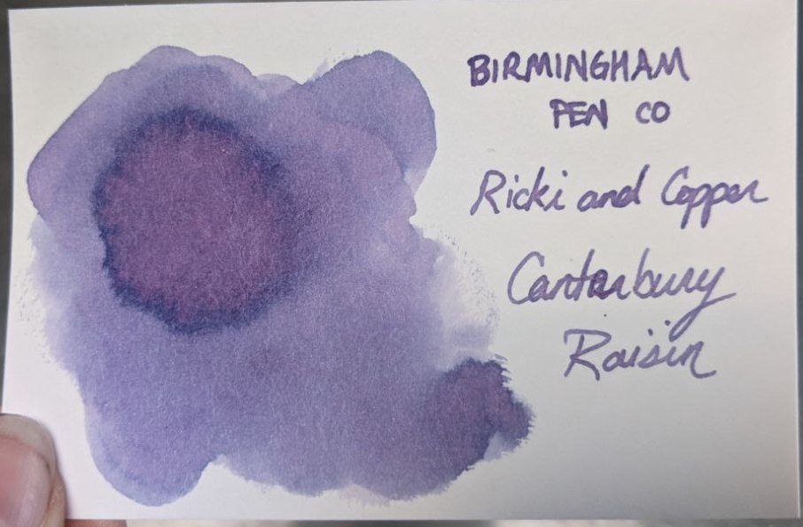 birmingham-canterburyraisin-swatch-daylight
